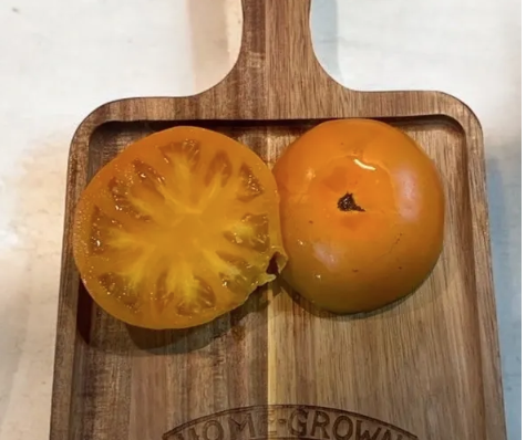 New for 2026 — Chicago Tomato Man